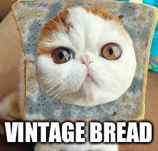 Moldy Bread Cat | VINTAGE BREAD | image tagged in moldy bread cat | made w/ Imgflip meme maker