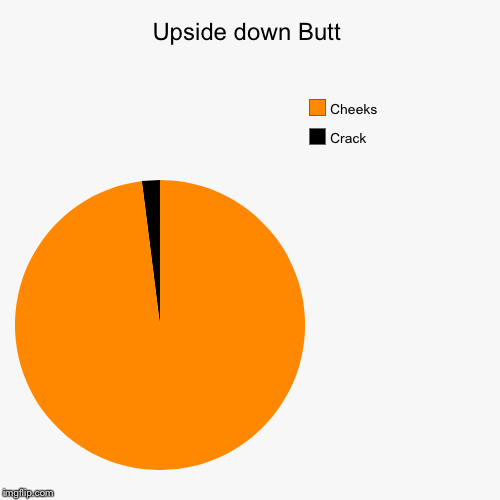 image tagged in funny,pie charts | made w/ Imgflip chart maker