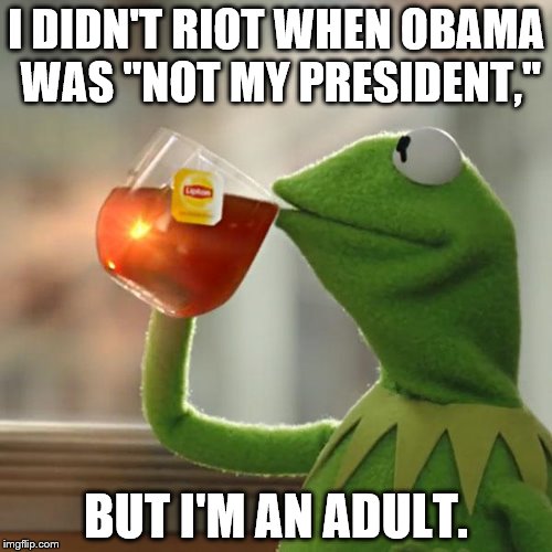 And they were worried about trump accepting the election results. | I DIDN'T RIOT WHEN OBAMA WAS "NOT MY PRESIDENT,"; BUT I'M AN ADULT. | image tagged in memes,but thats none of my business,kermit the frog | made w/ Imgflip meme maker