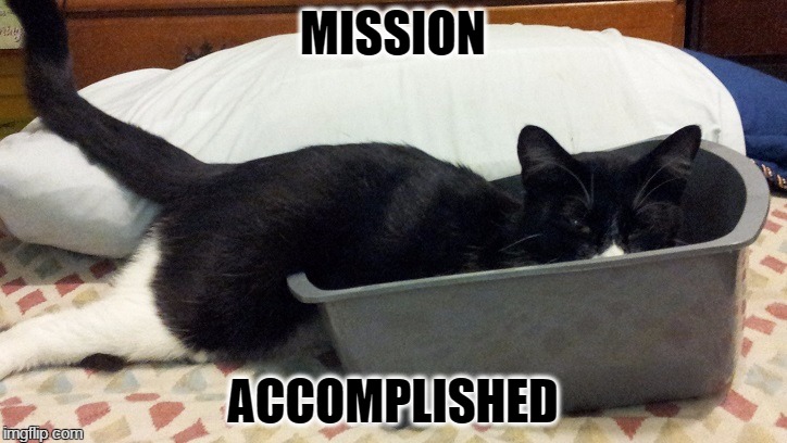 MISSION; ACCOMPLISHED | image tagged in tango | made w/ Imgflip meme maker