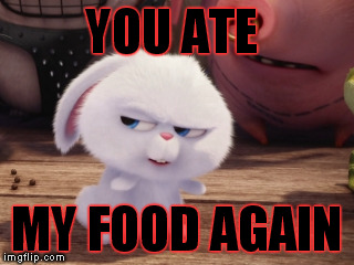 Secret Life of Pets - Snowball #3 | YOU ATE; MY FOOD AGAIN | image tagged in secret life of pets - snowball 3 | made w/ Imgflip meme maker