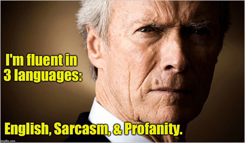  I'm fluent in 3 languages:; English, Sarcasm, & Profanity. | image tagged in memes,clint eastwood,languages,english,sarcasm,profanity | made w/ Imgflip meme maker
