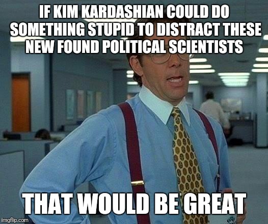 That Would Be Great | IF KIM KARDASHIAN COULD DO SOMETHING STUPID TO DISTRACT THESE NEW FOUND POLITICAL SCIENTISTS; THAT WOULD BE GREAT | image tagged in memes,that would be great | made w/ Imgflip meme maker