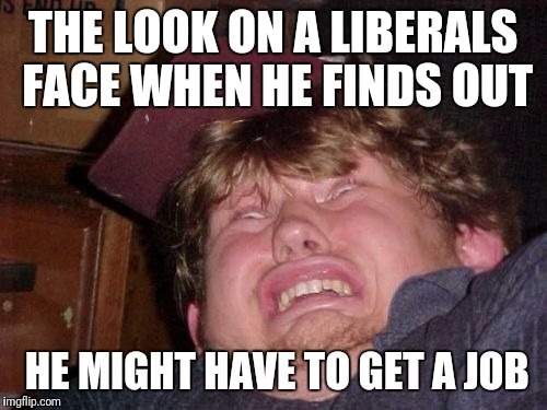 WTF | THE LOOK ON A LIBERALS FACE WHEN HE FINDS OUT; HE MIGHT HAVE TO GET A JOB | image tagged in memes,wtf | made w/ Imgflip meme maker