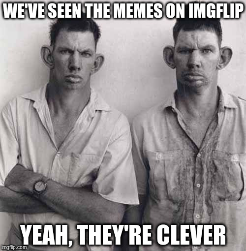 What are you talking about | WE'VE SEEN THE MEMES ON IMGFLIP; YEAH, THEY'RE CLEVER | image tagged in what are you talking about | made w/ Imgflip meme maker