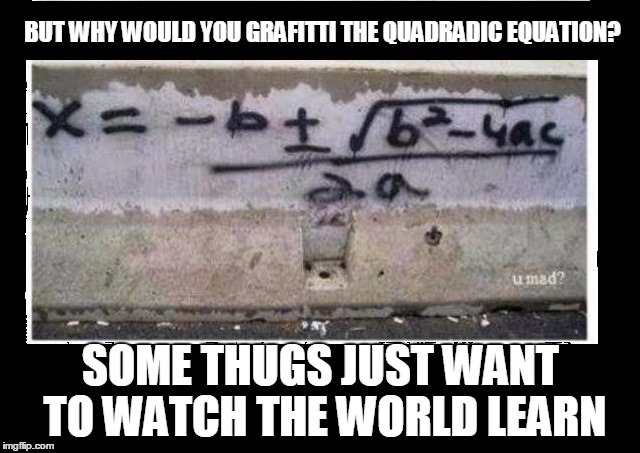 Thug Life | BUT WHY WOULD YOU GRAFITTI THE QUADRADIC EQUATION? SOME THUGS JUST WANT TO WATCH THE WORLD LEARN | image tagged in thug,learn | made w/ Imgflip meme maker