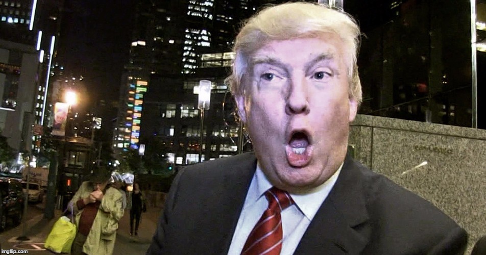 Trump Surprised | _ | image tagged in trump surprised | made w/ Imgflip meme maker