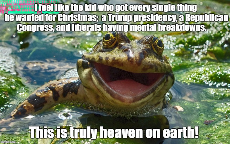 Heaven on Earth ! | I feel like the kid who got every single thing he wanted for Christmas;  a Trump presidency, a Republican Congress, and liberals having mental breakdowns. This is truly heaven on earth! | image tagged in memes,funny memes,trump,sjw,liberals,riots | made w/ Imgflip meme maker