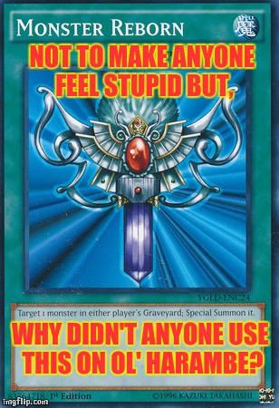 Reborn the monster! |  NOT TO MAKE ANYONE FEEL STUPID BUT, WHY DIDN'T ANYONE USE THIS ON OL' HARAMBE? | image tagged in yugioh,harambe | made w/ Imgflip meme maker