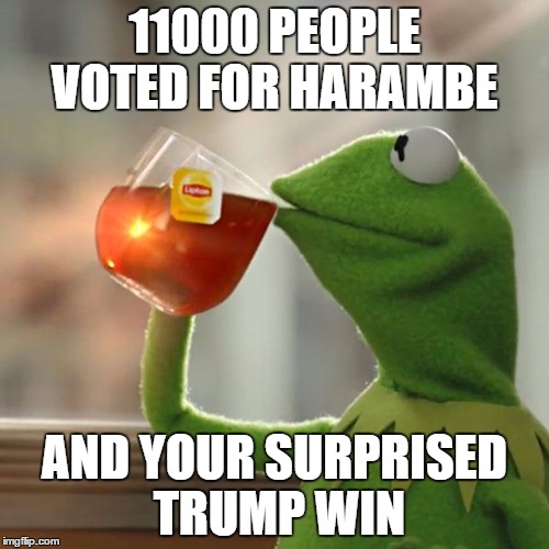 Harambe for pres | 11000 PEOPLE VOTED FOR HARAMBE; AND YOUR SURPRISED TRUMP WIN | image tagged in memes,but thats none of my business,kermit the frog,last moments of harambe,legend,trump | made w/ Imgflip meme maker
