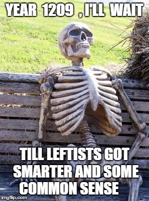 Waiting Skeleton | YEAR  1209  , I'LL  WAIT; TILL LEFTISTS GOT SMARTER AND SOME COMMON SENSE | image tagged in memes,waiting skeleton | made w/ Imgflip meme maker