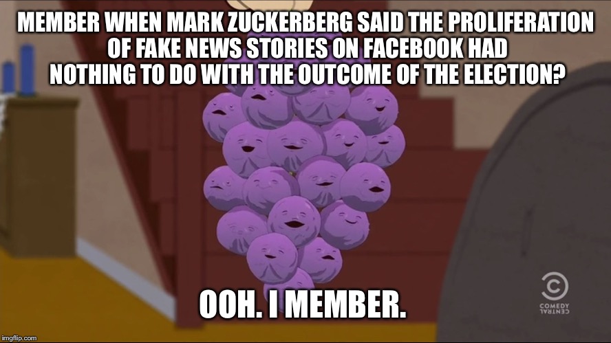 Member Berries Meme | MEMBER WHEN MARK ZUCKERBERG SAID THE PROLIFERATION OF FAKE NEWS STORIES ON FACEBOOK HAD NOTHING TO DO WITH THE OUTCOME OF THE ELECTION? OOH. I MEMBER. | image tagged in memes,member berries | made w/ Imgflip meme maker