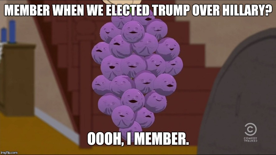 Member Berries Meme | MEMBER WHEN WE ELECTED TRUMP OVER HILLARY? OOOH, I MEMBER. | image tagged in memes,member berries | made w/ Imgflip meme maker