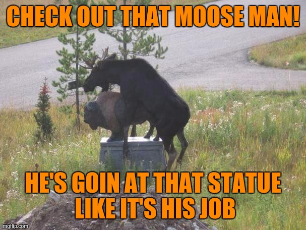 Username weekend, with appologese to mooseman, it's all I gots. | CHECK OUT THAT MOOSE MAN! HE'S GOIN AT THAT STATUE LIKE IT'S HIS JOB | image tagged in mooseman,sewmyeyesshut,funny memes,use the username weekend,heh heh heh | made w/ Imgflip meme maker
