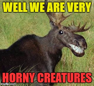 WELL WE ARE VERY HORNY CREATURES | made w/ Imgflip meme maker