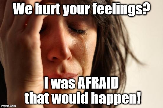 First World Problems Meme | We hurt your feelings? I was AFRAID that would happen! | image tagged in memes,first world problems | made w/ Imgflip meme maker