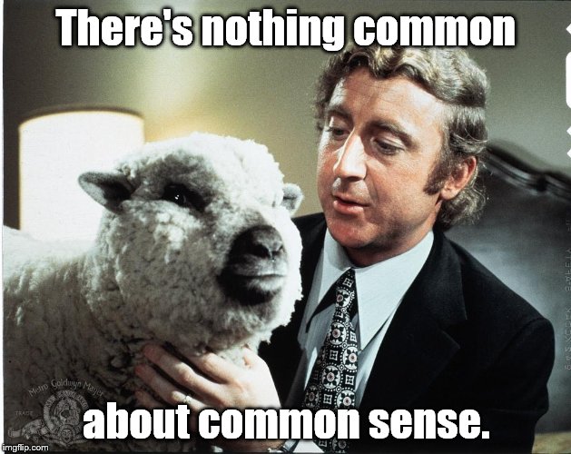 Baaa | There's nothing common about common sense. | image tagged in baaa | made w/ Imgflip meme maker