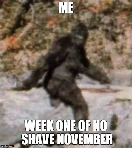 bigfoot | ME; WEEK ONE OF NO SHAVE NOVEMBER | image tagged in bigfoot | made w/ Imgflip meme maker