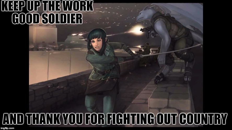 This picture will do...(I don't own it) | KEEP UP THE WORK GOOD SOLDIER; AND THANK YOU FOR FIGHTING OUT COUNTRY | image tagged in veterans day | made w/ Imgflip meme maker