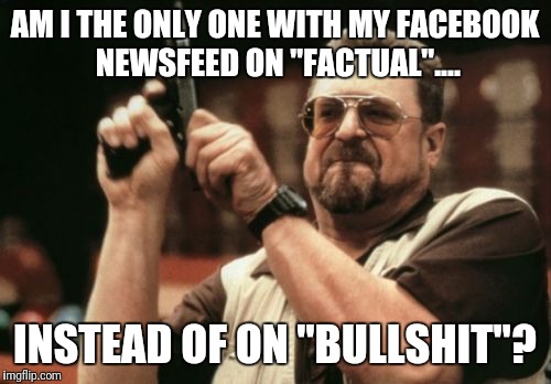 Am I The Only One Around Here Meme | AM I THE ONLY ONE WITH MY FACEBOOK NEWSFEED ON "FACTUAL".... INSTEAD OF ON "BULLSHIT"? | image tagged in memes,am i the only one around here | made w/ Imgflip meme maker