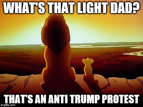 Lion King Meme | WHAT'S THAT LIGHT DAD? THAT'S AN ANTI TRUMP PROTEST | image tagged in memes,lion king | made w/ Imgflip meme maker