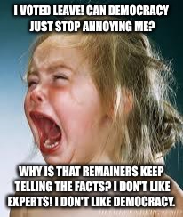 Crying Baby | I VOTED LEAVE! CAN DEMOCRACY JUST STOP ANNOYING ME? WHY IS THAT REMAINERS KEEP TELLING THE FACTS? I DON'T LIKE EXPERTS! I DON'T LIKE DEMOCRACY. | image tagged in crying baby | made w/ Imgflip meme maker