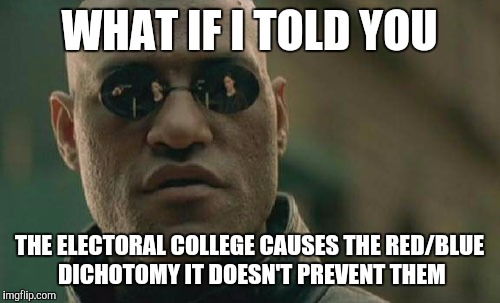 Matrix Morpheus | WHAT IF I TOLD YOU; THE ELECTORAL COLLEGE CAUSES THE RED/BLUE DICHOTOMY IT DOESN'T PREVENT THEM | image tagged in memes,matrix morpheus,electoral college | made w/ Imgflip meme maker