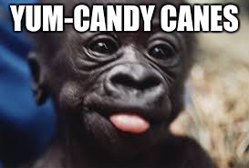 YUM-CANDY CANES | image tagged in baby gorilla sticking out tongue | made w/ Imgflip meme maker