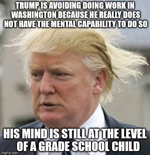 Donald Trump 1 |  TRUMP IS AVOIDING DOING WORK IN WASHINGTON BECAUSE HE REALLY DOES NOT HAVE THE MENTAL CAPABILITY TO DO SO; HIS MIND IS STILL AT THE LEVEL   OF A GRADE SCHOOL CHILD | image tagged in donald trump 1 | made w/ Imgflip meme maker