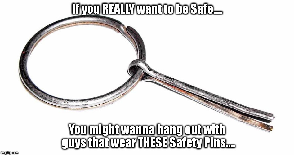 If you REALLY want to be Safe.... You might wanna hang out with guys that wear THESE Safety Pins.... | image tagged in political correctness,political meme | made w/ Imgflip meme maker