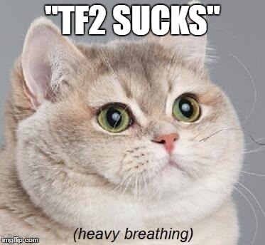 Heavy Breathing Cat Meme | "TF2 SUCKS" | image tagged in memes,heavy breathing cat | made w/ Imgflip meme maker