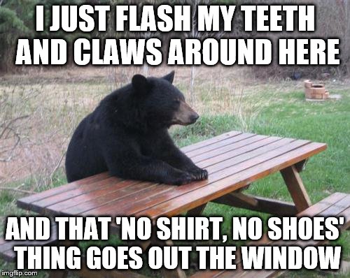 Bad Luck Bear | I JUST FLASH MY TEETH AND CLAWS AROUND HERE; AND THAT 'NO SHIRT, NO SHOES' THING GOES OUT THE WINDOW | image tagged in memes,bad luck bear | made w/ Imgflip meme maker