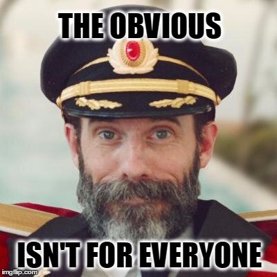 Captain Obvious | THE OBVIOUS; ISN'T FOR EVERYONE | image tagged in captain obvious | made w/ Imgflip meme maker