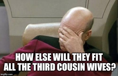 Captain Picard Facepalm Meme | HOW ELSE WILL THEY FIT ALL THE THIRD COUSIN WIVES? | image tagged in memes,captain picard facepalm | made w/ Imgflip meme maker