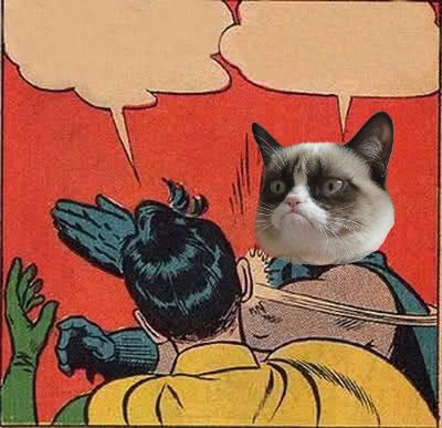 Grumpy Cat Slapping Robin Blank Meme Template
