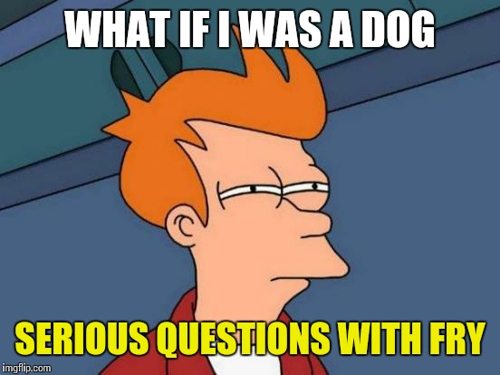Futurama Fry Meme | WHAT IF I WAS A DOG; SERIOUS QUESTIONS WITH FRY | image tagged in memes,futurama fry | made w/ Imgflip meme maker