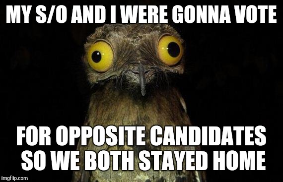 Weird Stuff I Do Potoo | MY S/O AND I WERE GONNA VOTE; FOR OPPOSITE CANDIDATES SO WE BOTH STAYED HOME | image tagged in memes,weird stuff i do potoo | made w/ Imgflip meme maker