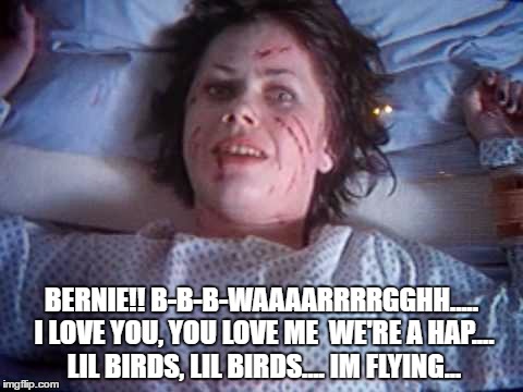 BERNIE!! B-B-B-WAAAARRRRGGHH..... I LOVE YOU, YOU LOVE ME  WE'RE A HAP.... LIL BIRDS, LIL BIRDS.... IM FLYING... | image tagged in hrclovers | made w/ Imgflip meme maker