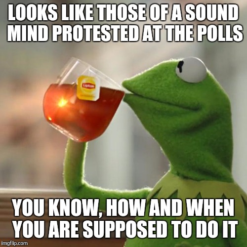 But That's None Of My Business Meme | LOOKS LIKE THOSE OF A SOUND MIND PROTESTED AT THE POLLS; YOU KNOW, HOW AND WHEN YOU ARE SUPPOSED TO DO IT | image tagged in memes,but thats none of my business,kermit the frog | made w/ Imgflip meme maker