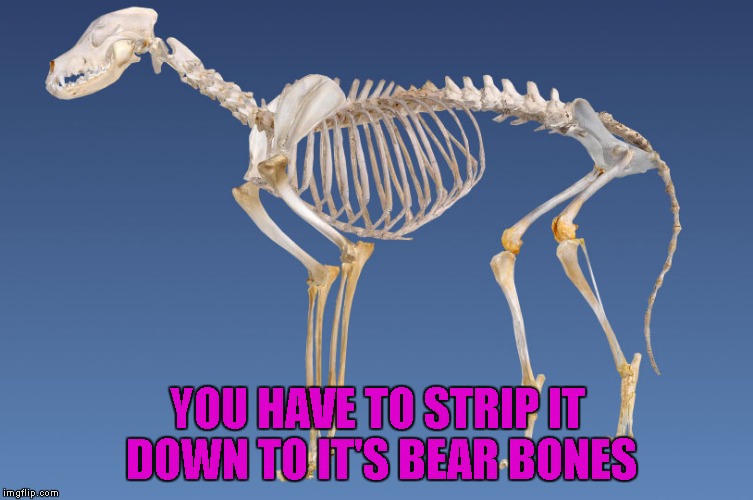 YOU HAVE TO STRIP IT DOWN TO IT'S BEAR BONES | made w/ Imgflip meme maker