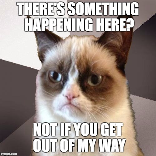 Musically Malicious Grumpy Cat | THERE'S SOMETHING HAPPENING HERE? NOT IF YOU GET OUT OF MY WAY | image tagged in musically malicious grumpy cat,grumpy cat | made w/ Imgflip meme maker