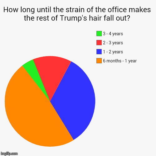 image tagged in funny,pie charts | made w/ Imgflip chart maker