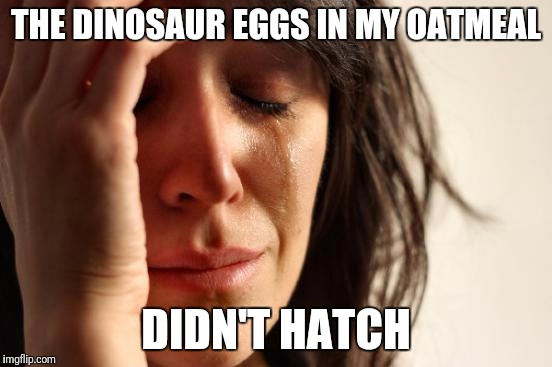 First World Problems Meme | THE DINOSAUR EGGS IN MY OATMEAL; DIDN'T HATCH | image tagged in memes,first world problems | made w/ Imgflip meme maker