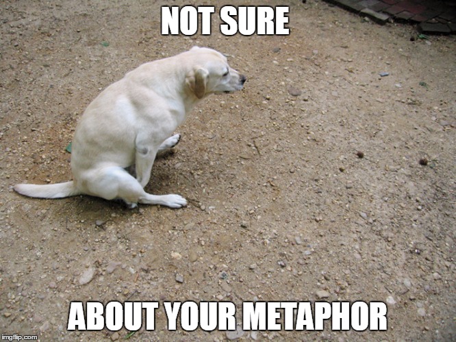 NOT SURE ABOUT YOUR METAPHOR | made w/ Imgflip meme maker