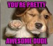 YOU'RE PRETTY AWESOME DUDE | made w/ Imgflip meme maker