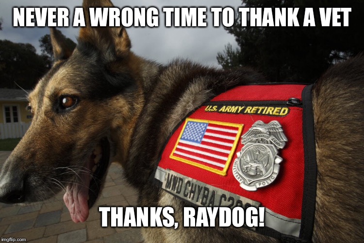 NEVER A WRONG TIME TO THANK A VET THANKS, RAYDOG! | made w/ Imgflip meme maker