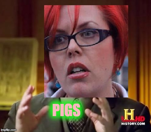 PIGS | made w/ Imgflip meme maker