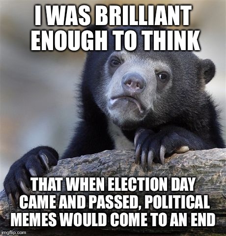 Confession Bear Meme | I WAS BRILLIANT ENOUGH TO THINK; THAT WHEN ELECTION DAY CAME AND PASSED, POLITICAL MEMES WOULD COME TO AN END | image tagged in memes,confession bear | made w/ Imgflip meme maker
