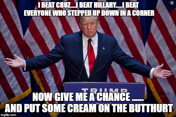 Donald Trump | I BEAT CRUZ....I BEAT HILLARY.....I BEAT EVERYONE WHO STEPPED UP DOWN IN A CORNER; NOW GIVE ME A CHANCE ...... AND PUT SOME CREAM ON THE BUTTHURT | image tagged in donald trump | made w/ Imgflip meme maker