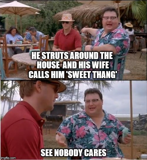 See Nobody Cares | HE STRUTS AROUND THE HOUSE  AND HIS WIFE CALLS HIM 'SWEET THANG'; SEE NOBODY CARES | image tagged in memes,see nobody cares | made w/ Imgflip meme maker
